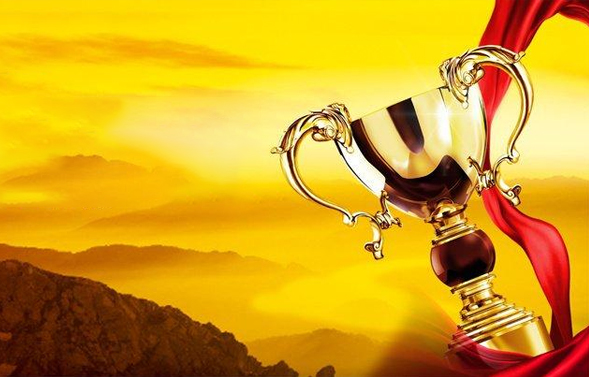 行業積淀·成績聲譽